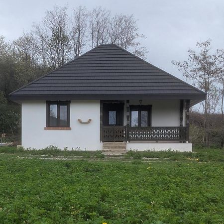 Casa Livada Bunicii Villa Tirgu Ocna Exterior photo